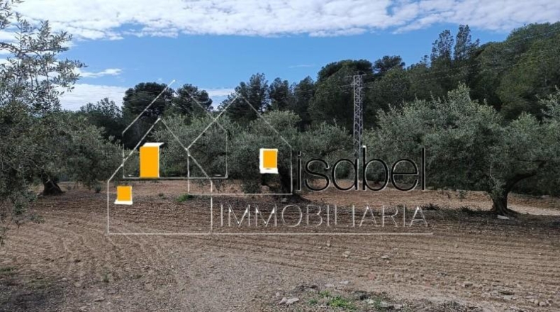 Tarragona - Castellvell del Camp - 4352m2