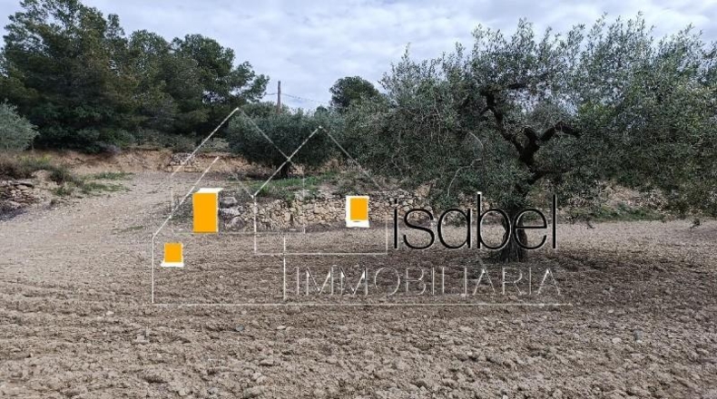 Tarragona - Castellvell del Camp - 4352m2