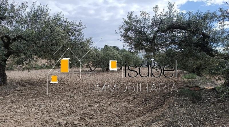 Tarragona - Castellvell del Camp - 4352m2
