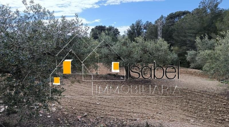 Tarragona - Castellvell del Camp - 4352m2