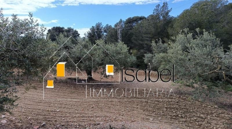 Tarragona - Castellvell del Camp - 4352m2