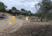 Sòl urbà en venda a la España, Castellvell del Camp, ref.: TR241100 foto