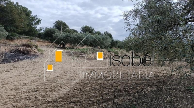 Tarragona - Castellvell del Camp - 4352m2