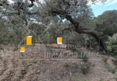 Sòl urbà en venda a la España, Castellvell del Camp, ref.: TR241100 foto