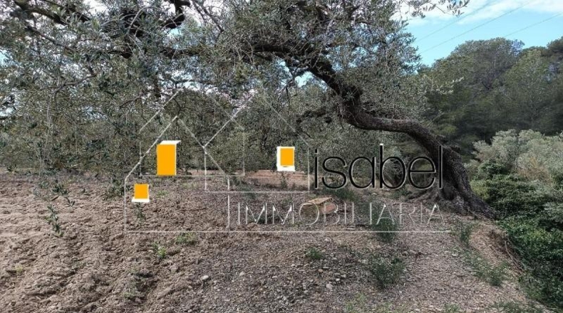 Tarragona - Castellvell del Camp - 4352m2