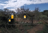 Sòl urbà en venda a la España, Castellvell del Camp, ref.: TR241100 foto