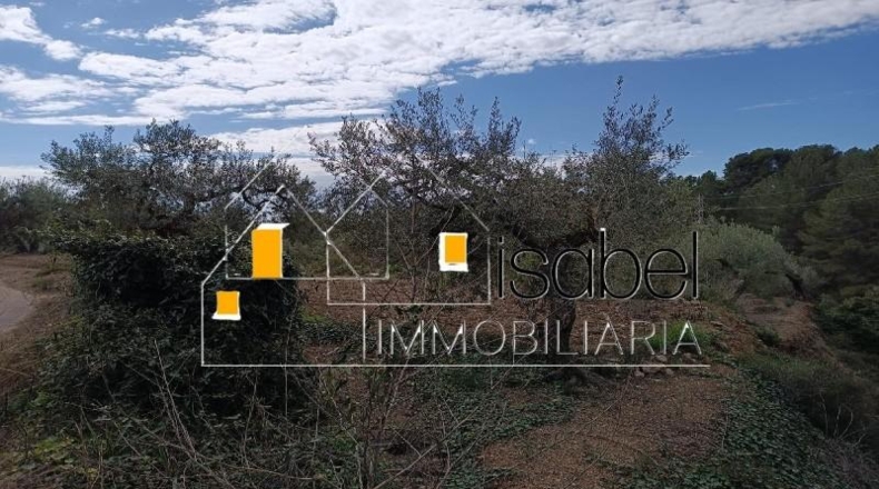 Tarragona - Castellvell del Camp - 4352m2