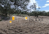 Sòl urbà en venda a la España, Castellvell del Camp, ref.: TR241100 foto