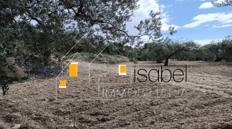 Tarragona - Castellvell del Camp - 4352m2