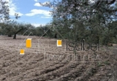 Sòl urbà en venda a la España, Castellvell del Camp, ref.: TR241100 foto
