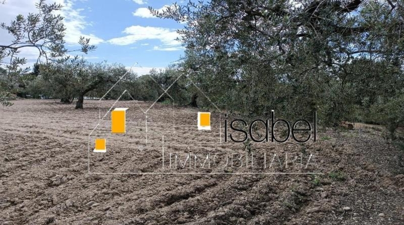 Tarragona - Castellvell del Camp - 4352m2