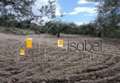 Sòl urbà en venda a la España, Castellvell del Camp, ref.: TR241100 foto