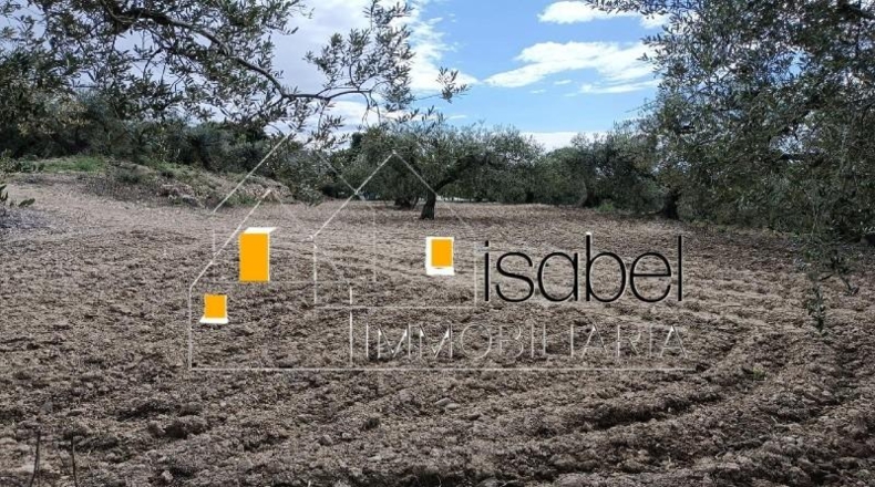 Tarragona - Castellvell del Camp - 4352m2