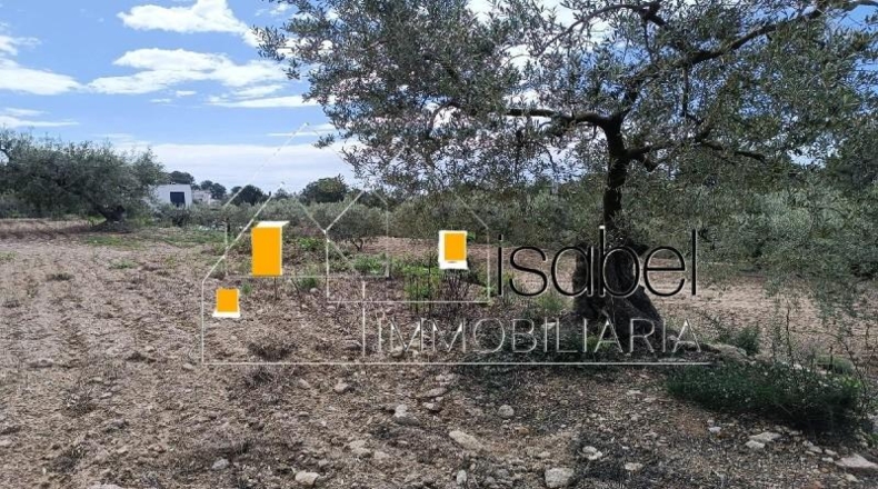 Tarragona - Castellvell del Camp - 4352m2