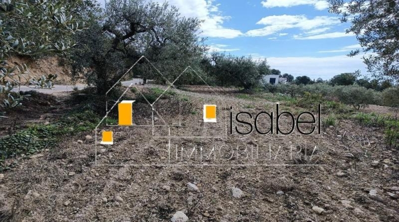 Tarragona - Castellvell del Camp - 4352m2