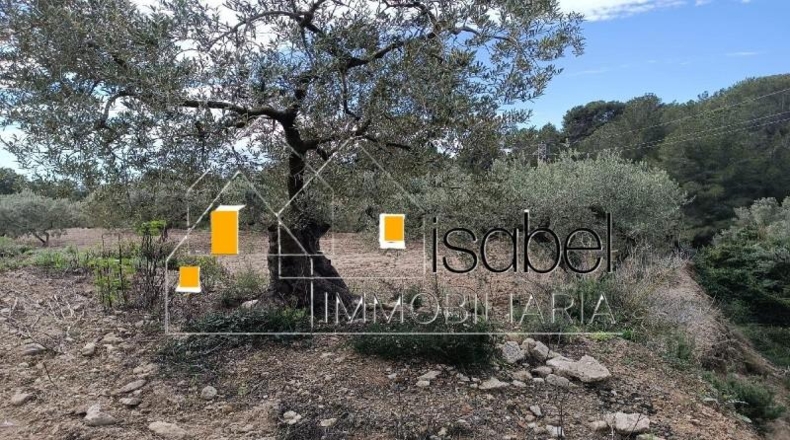 Tarragona - Castellvell del Camp - 4352m2