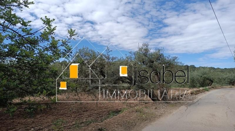 Tarragona - Castellvell del Camp - 4352m2