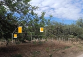 Sòl urbà en venda a la España, Castellvell del Camp, ref.: TR241100 foto