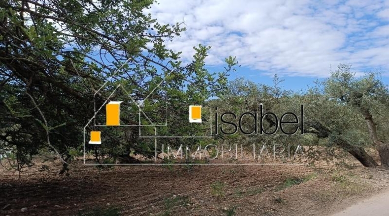 Tarragona - Castellvell del Camp - 4352m2