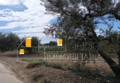 Sòl urbà en venda a la España, Castellvell del Camp, ref.: TR241100 foto