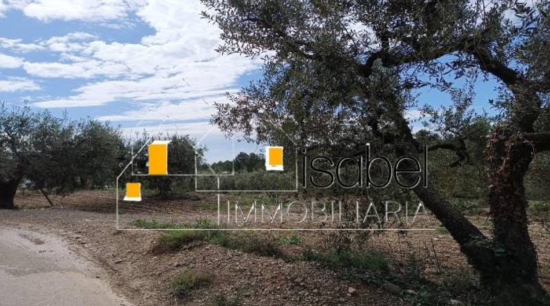 Tarragona - Castellvell del Camp - 4352m2