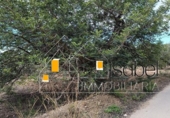 Sòl urbà en venda a la España, Castellvell del Camp, ref.: TR241100 foto