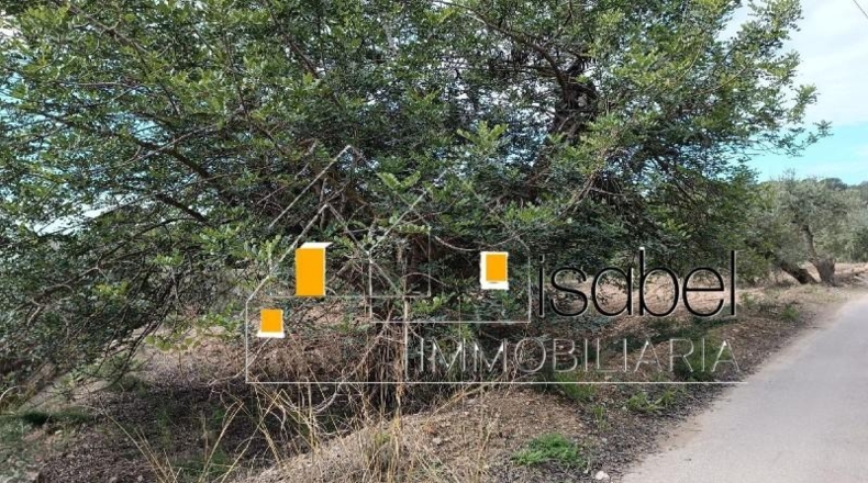 Tarragona - Castellvell del Camp - 4352m2