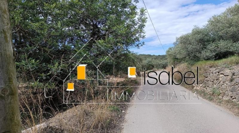 Tarragona - Castellvell del Camp - 4352m2