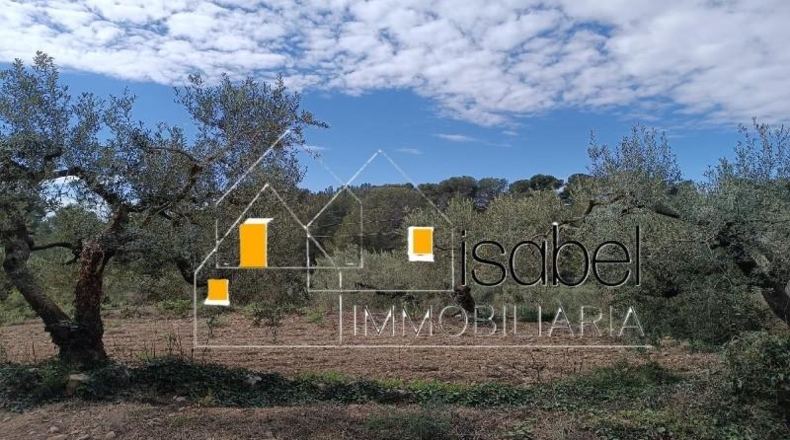 Tarragona - Castellvell del Camp - 4352m2