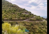 Country house with land for sale on España, Almuñécar, ref: TR172858 photo