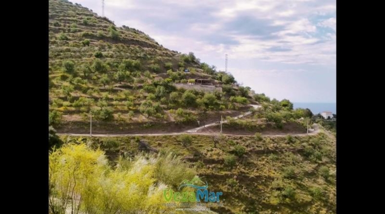 Granada - Almuñécar - 5000m2