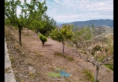 Country house with land for sale on España, Almuñécar, ref: TR172858 photo