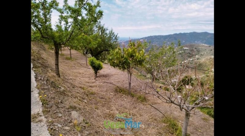 Granada - Almuñécar - 5000m2
