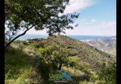 Country house with land for sale on España, Almuñécar, ref: TR172858 photo