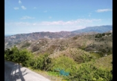 Country house with land for sale on España, Almuñécar, ref: TR172858 photo