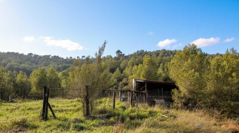 Tarragona - Masllorenç - 166m2
