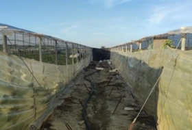 Chipiona 16000&nbsp;m² 