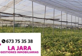 Chipiona 16000&nbsp;m² 