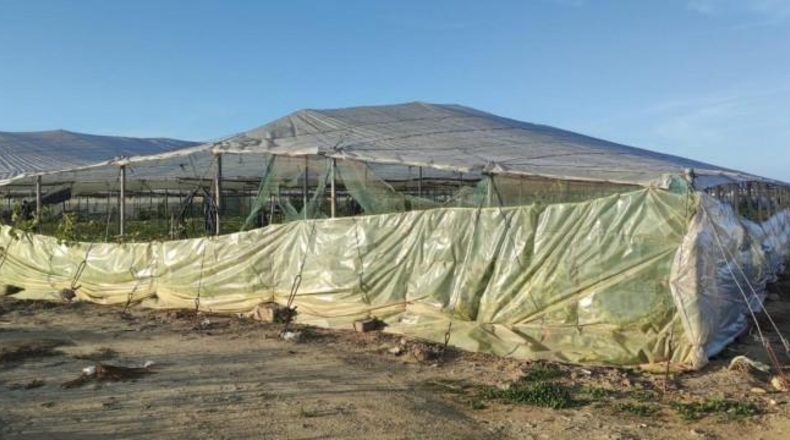 Cadiz - Чипиона - 16000m2