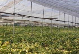 Chipiona 16000&nbsp;m² 