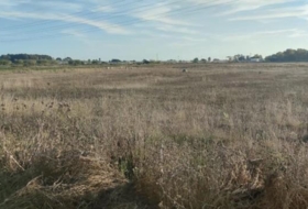 Chipiona 16000&nbsp;m² 