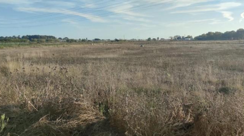 Cádiz - Sanlúcar de Barrameda - 16000m2