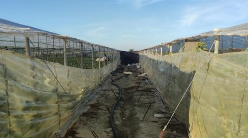 Cádiz - Sanlúcar de Barrameda - 16000m2