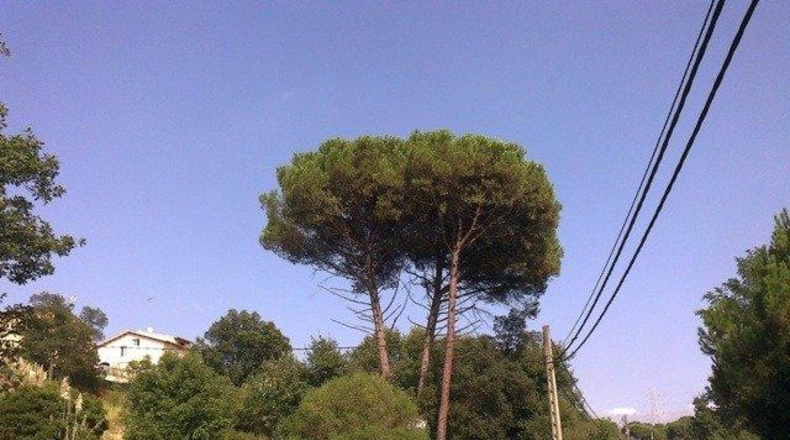 Gerona - Riells - 1077m2