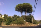 Casa amb terreny en venda a la España, Viabrea, ref.: TR304365 foto