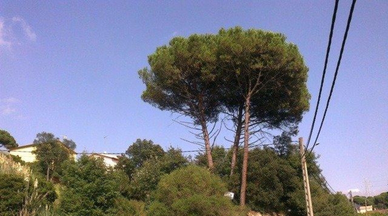 Gerona - Riells - 1077m2