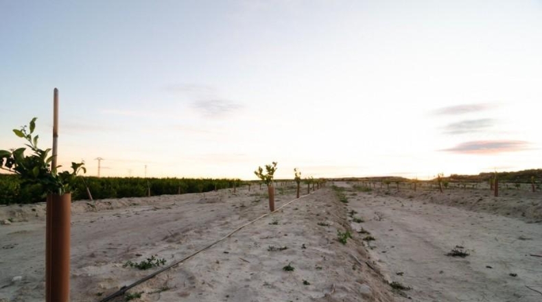 Murcia - Абанилья - 26300m2