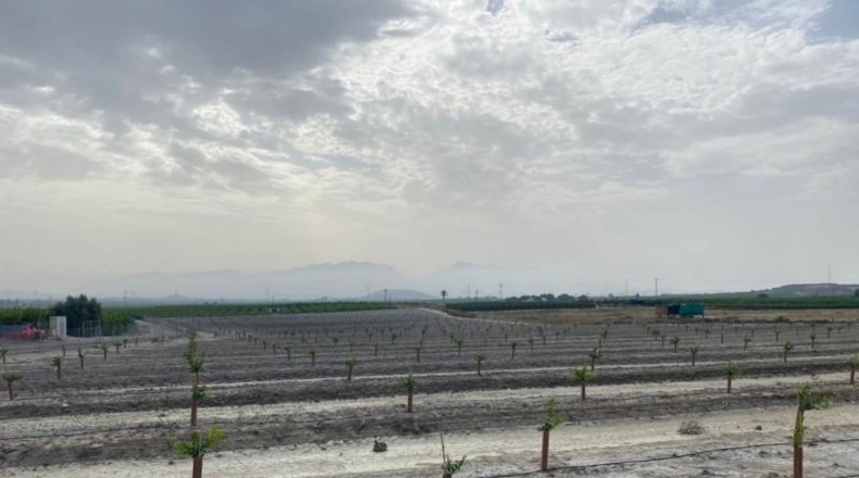 Murcia - Абанилья - 26300m2