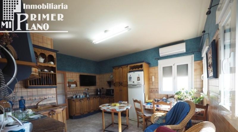 Ciudad Real - Argamasilla de Alba - 379m2