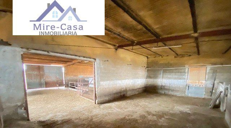 Alicante - Aspe - 4000m2